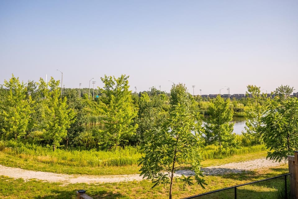 Natural landscape, Lake view
