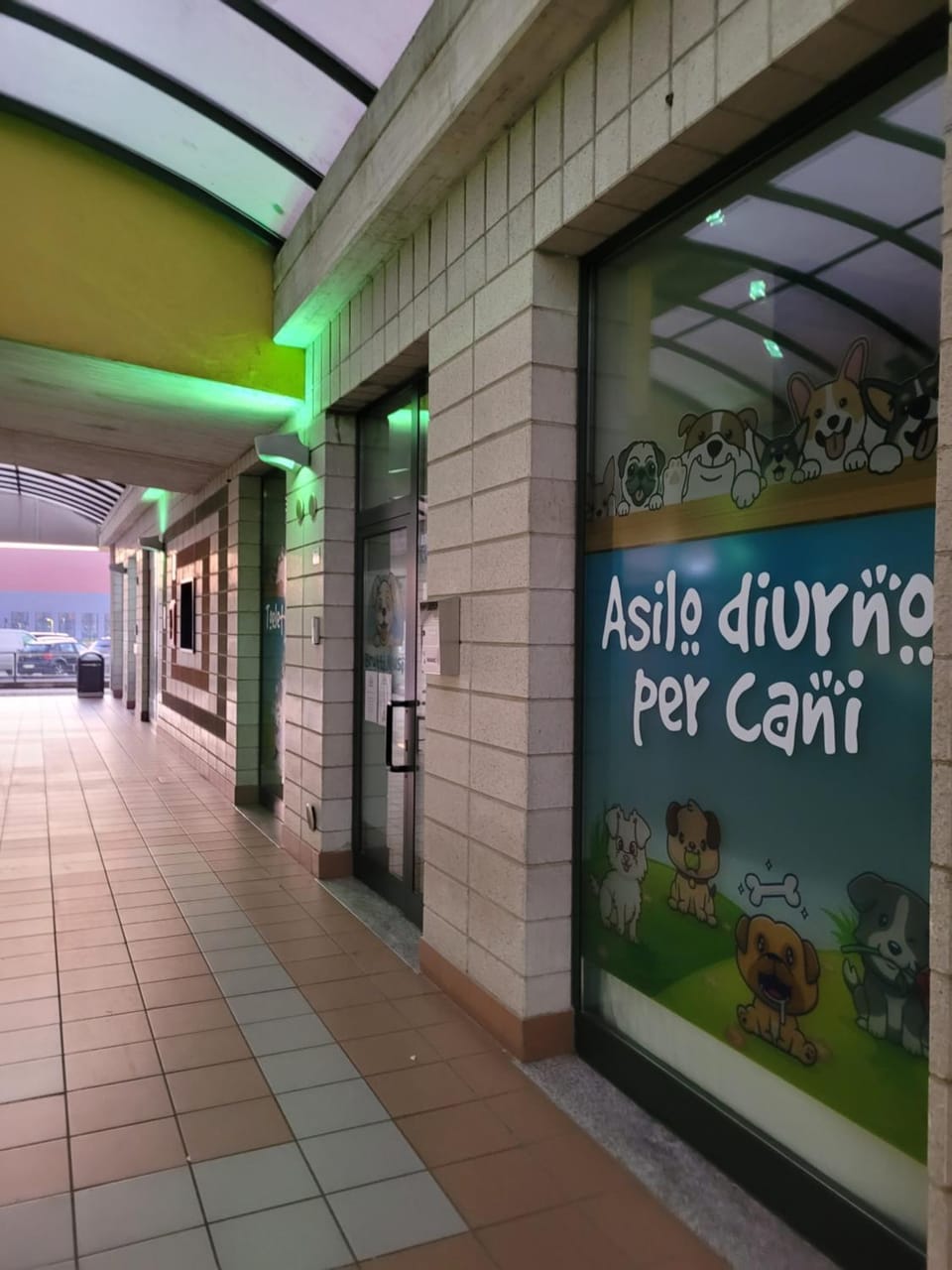 Animals, Pets
