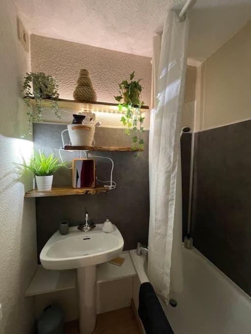 La cabane Apartment in Isola