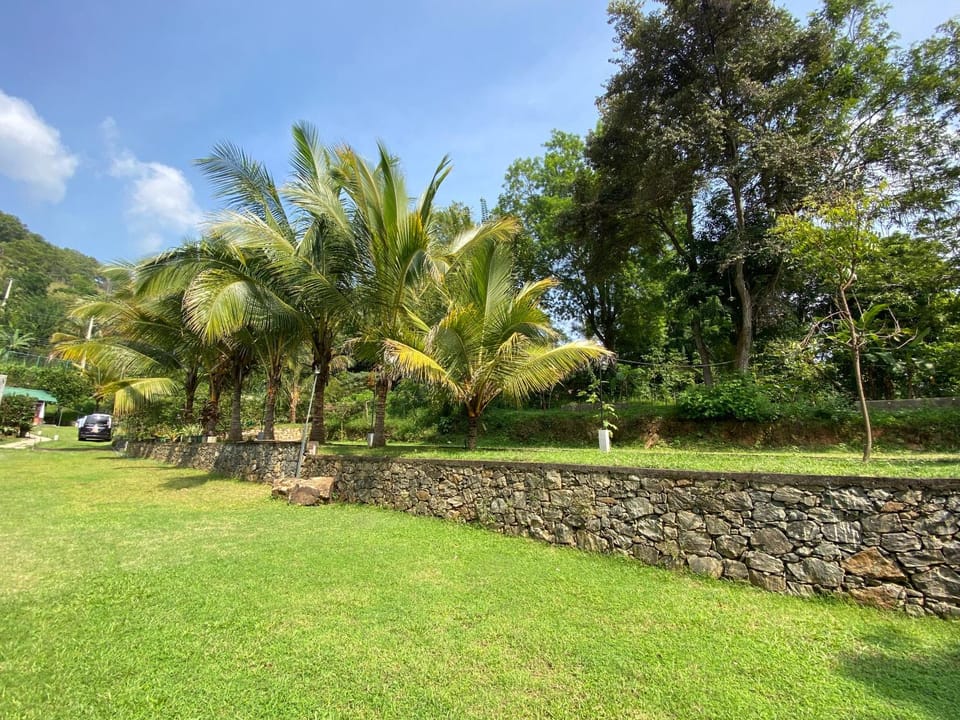 Garden, Garden view