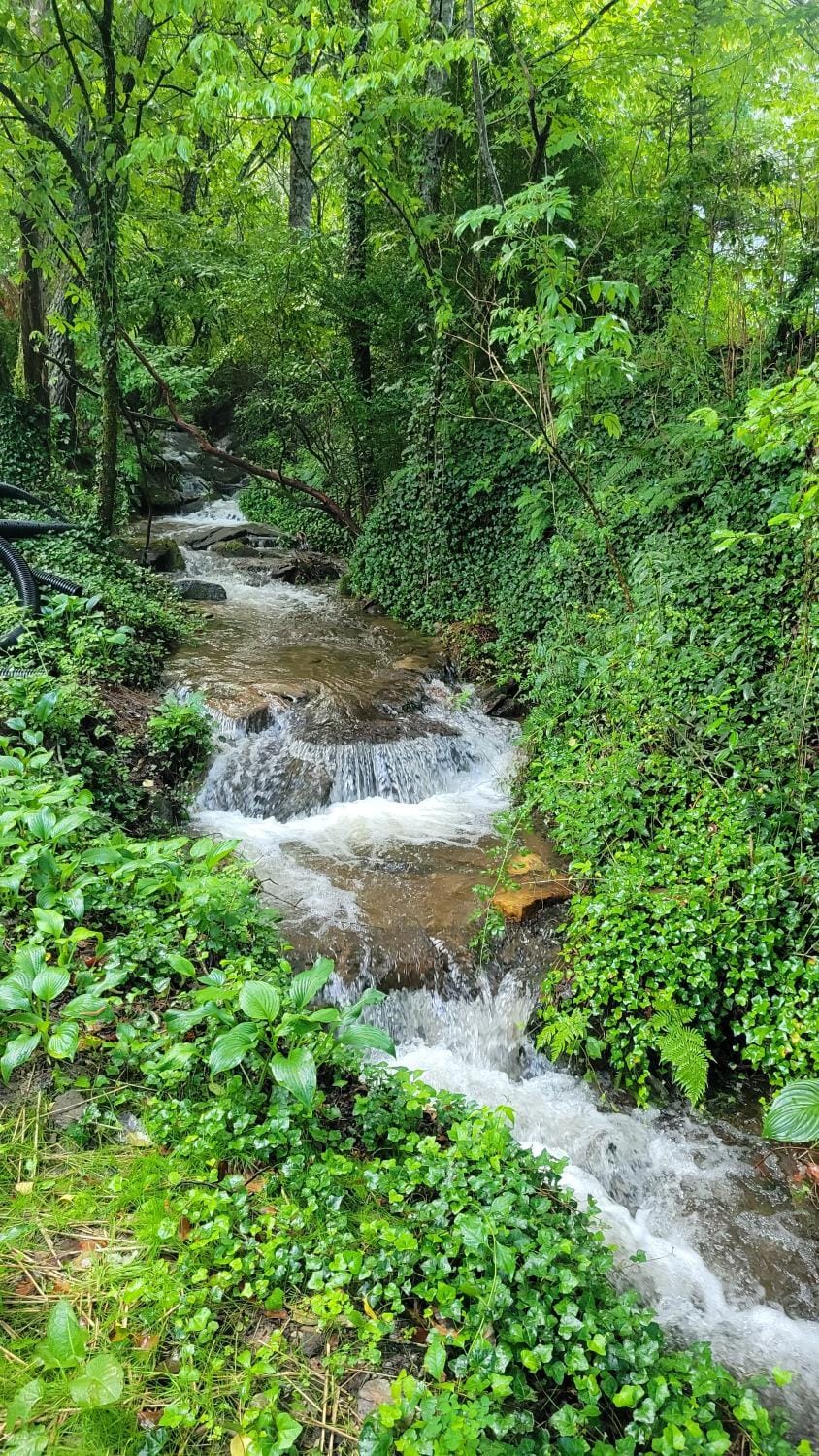 Natural landscape