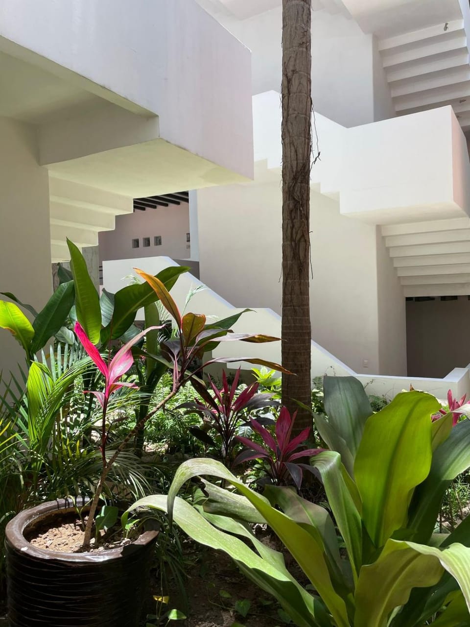 Your Luxury Oasis at Tahéima Apartment in Nuevo Vallarta