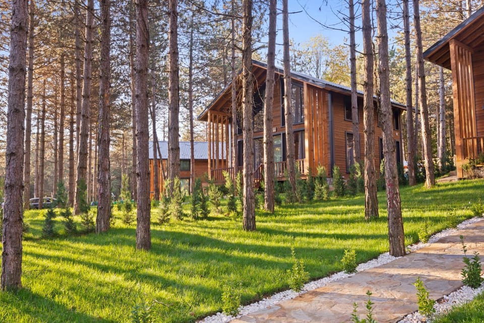 Property building, Day, Garden, Garden view