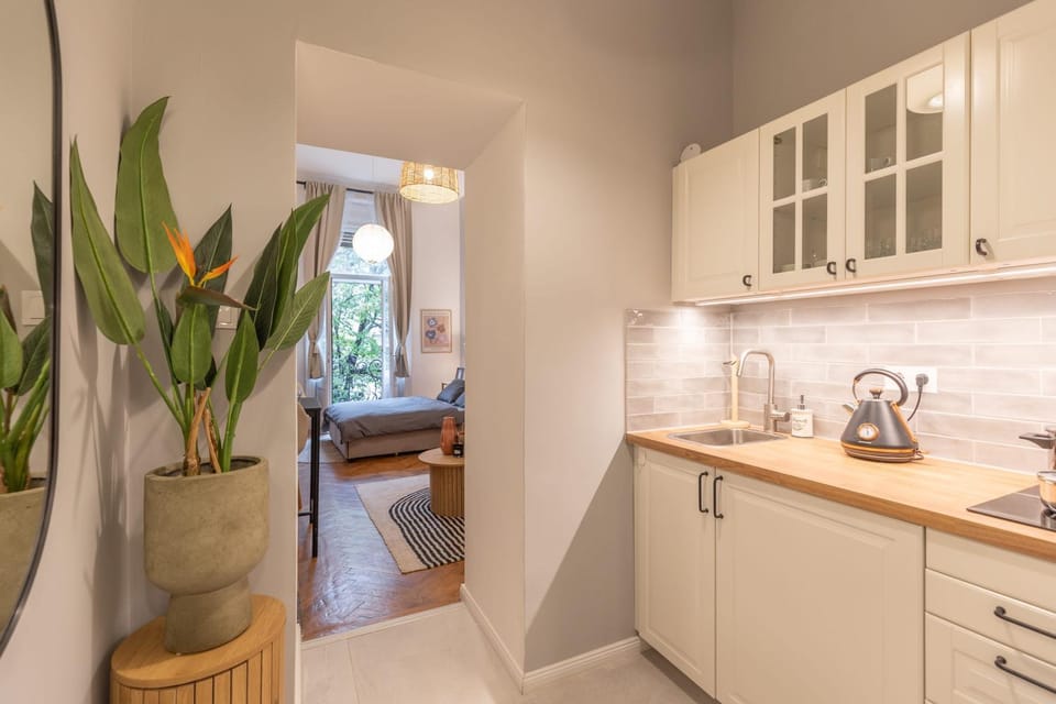 Kitchen or kitchenette, stove