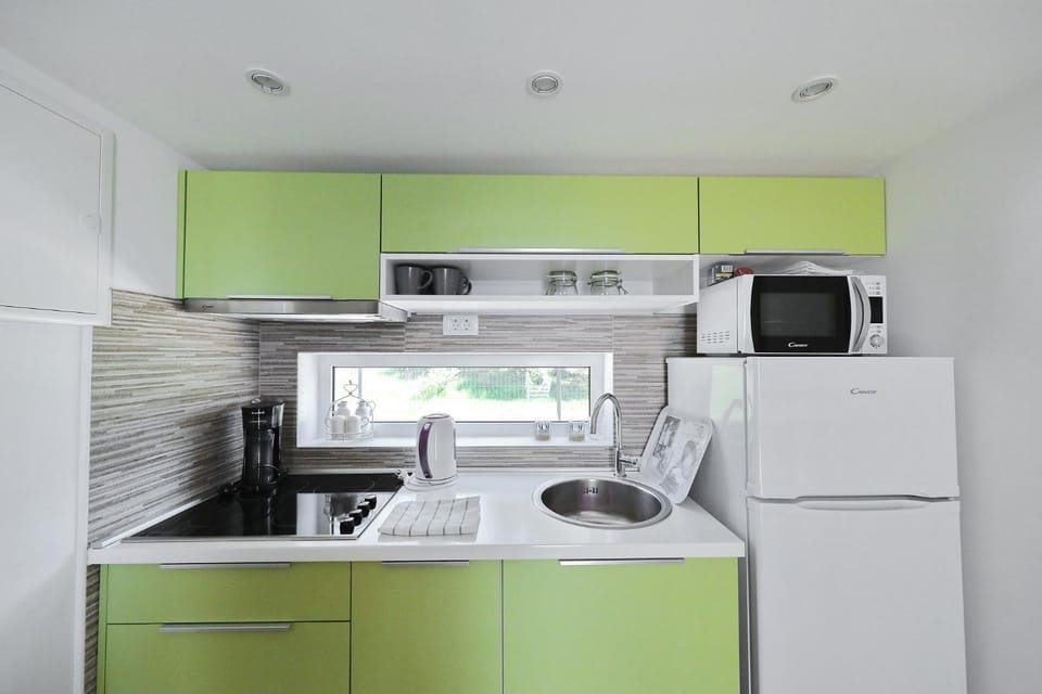 Coffee/tea facilities, Kitchen or kitchenette, minibar, stove