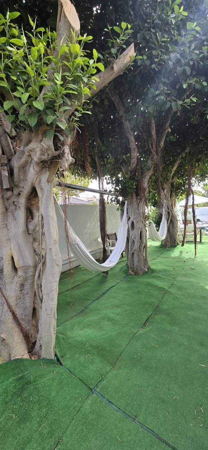 Noa House in Torrevieja