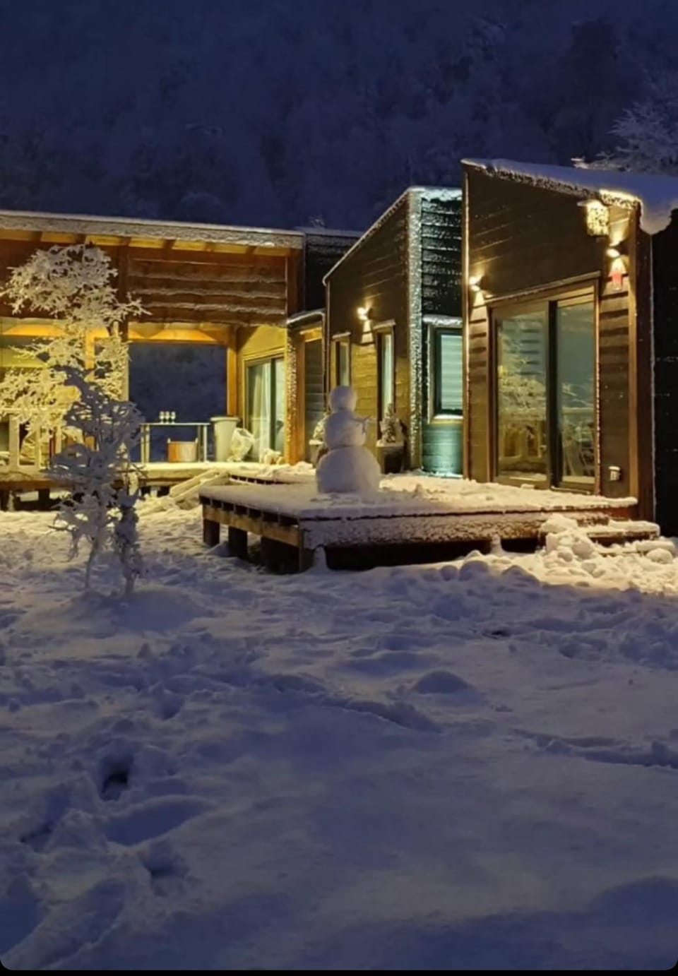 Night, Winter