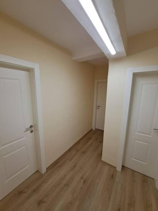 Quiet, Cozy, Luminous Apartment Apartment in Tirana