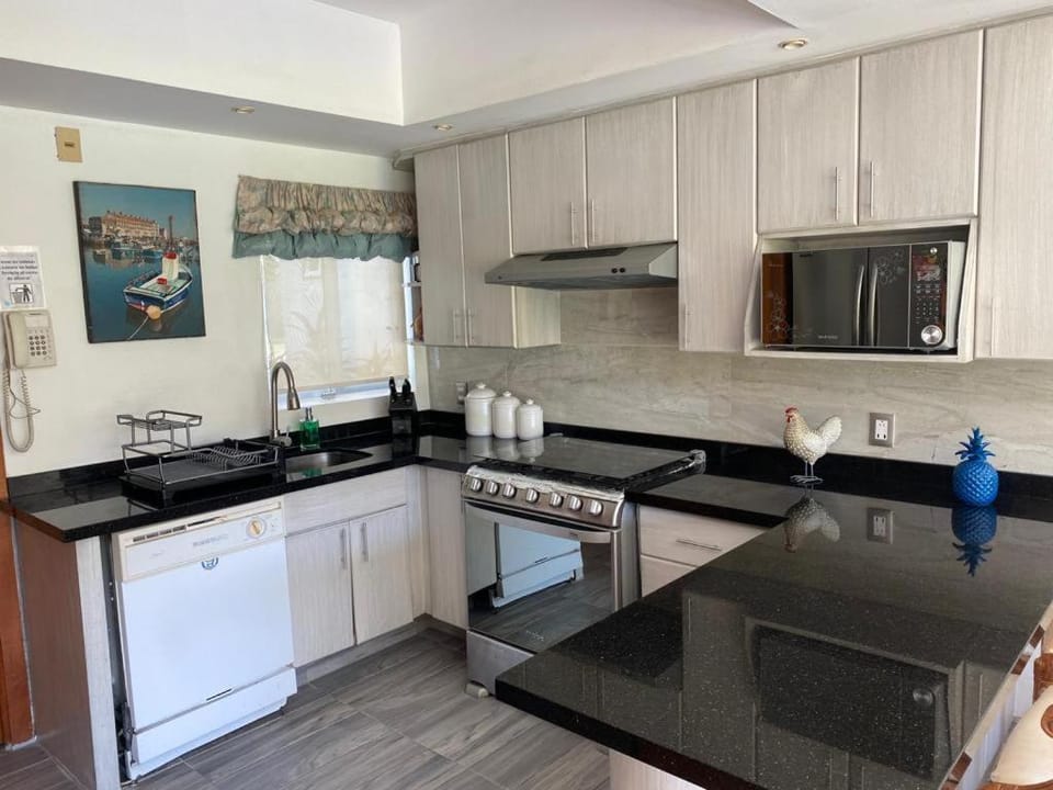 Kitchen or kitchenette, dishwasher