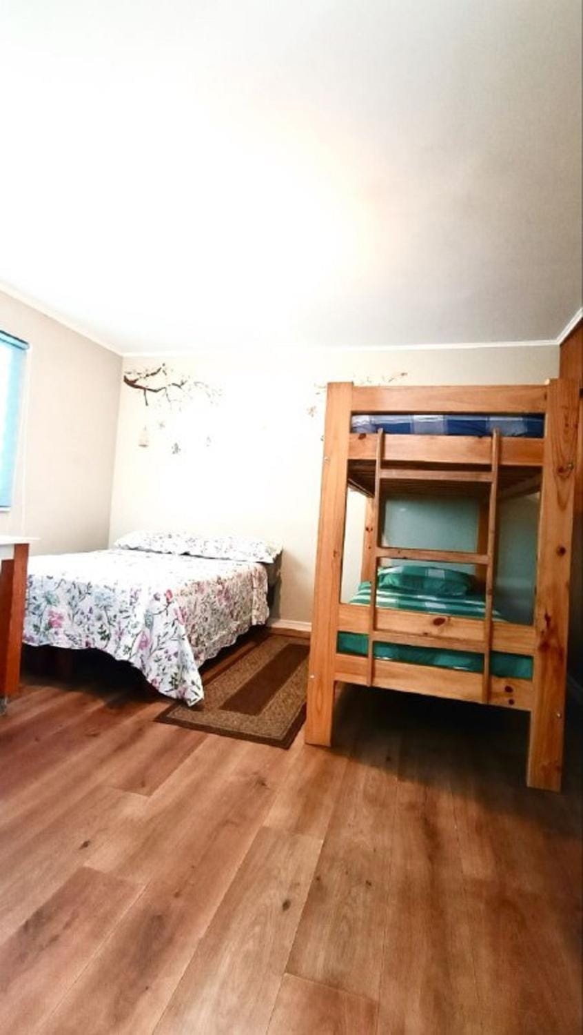 Bed, Photo of the whole room, Bedroom, bunk bed