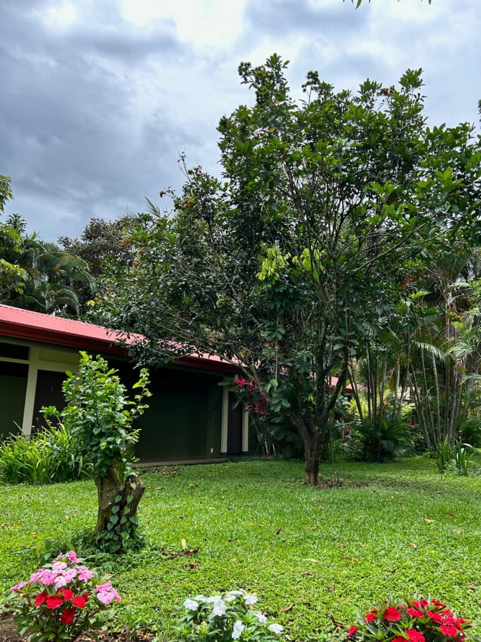 Garden view