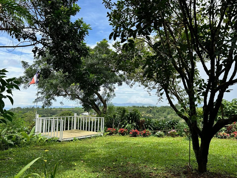 Garden, Garden view