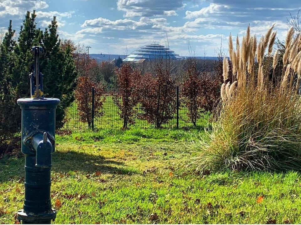 Nearby landmark, Garden, Garden view