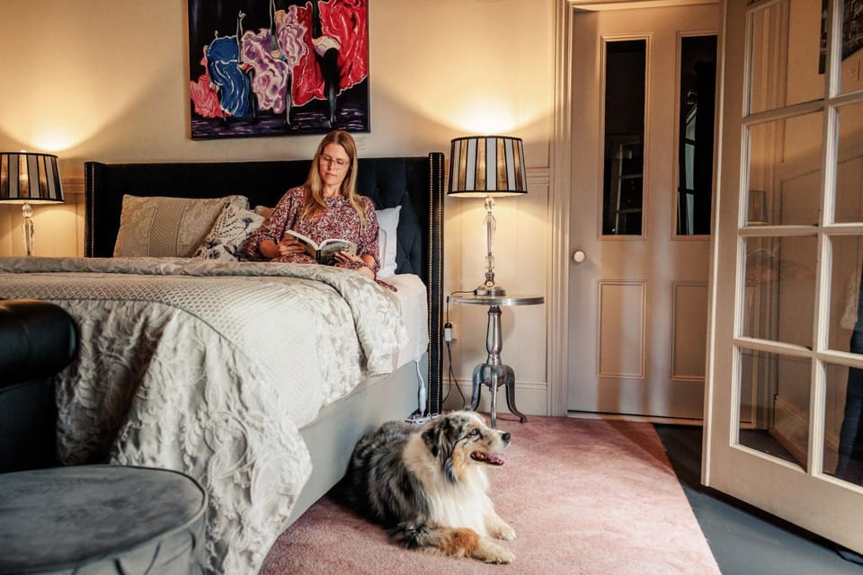 Bed, Pets