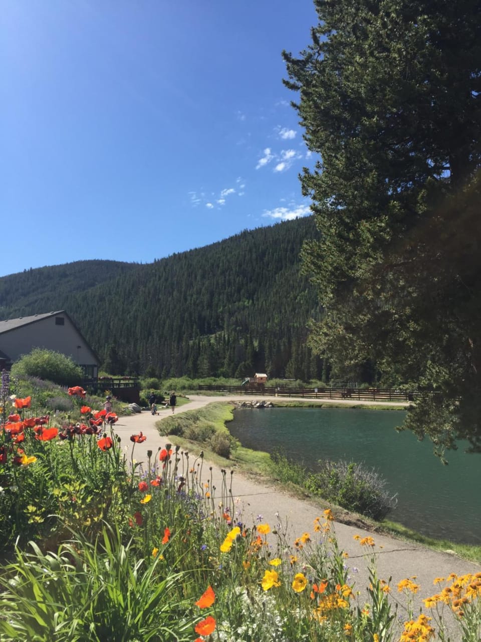 Seasons 1892 by SummitCove Lodging House in Keystone