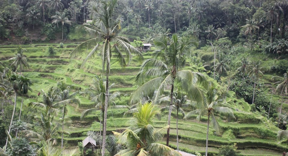 Nearby landmark