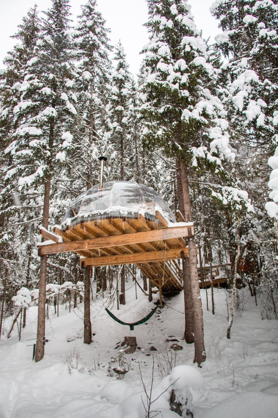 Treetop igloo by the river House in Viken, Norway