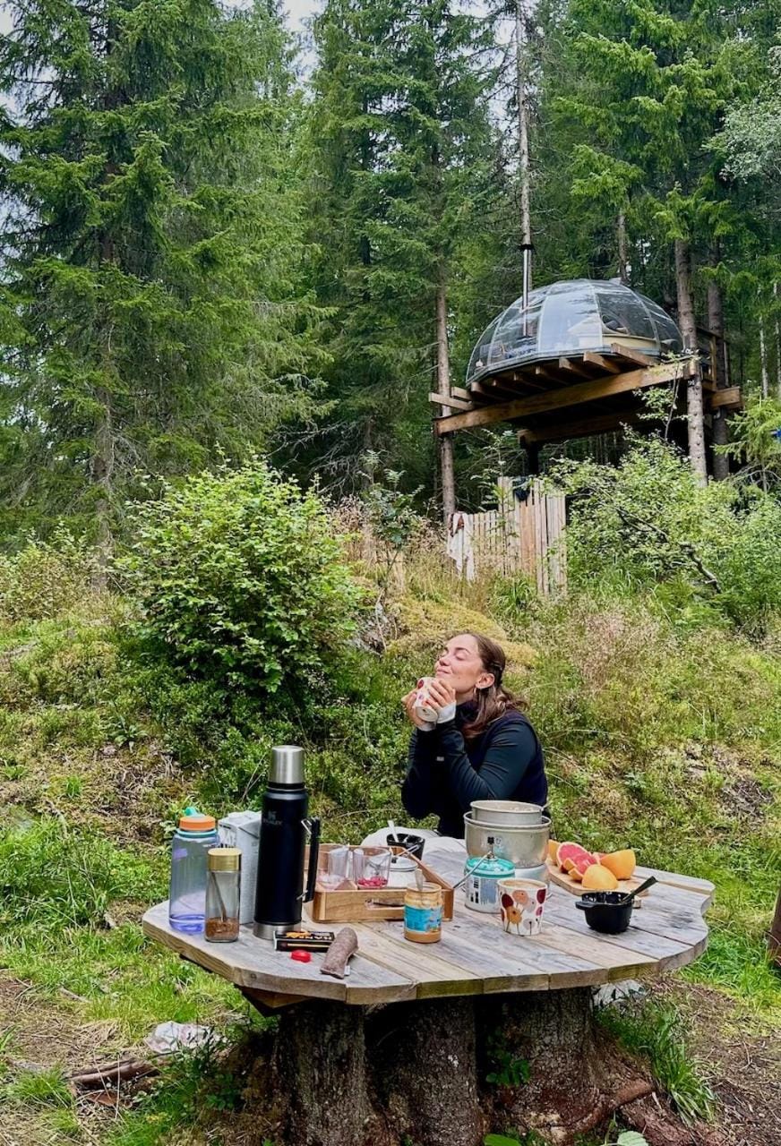 Treetop igloo by the river House in Viken, Norway