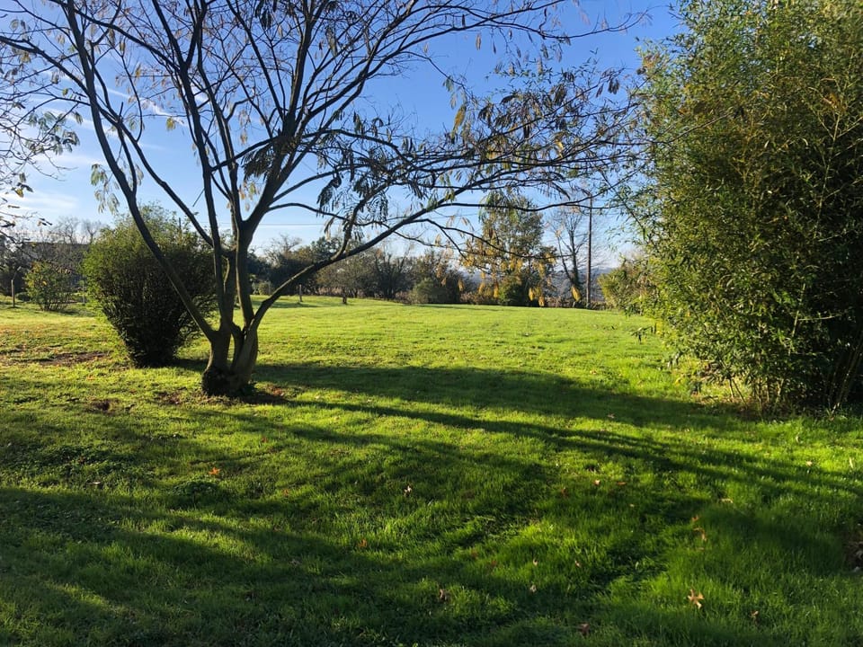 Garden, View (from property/room), Garden view