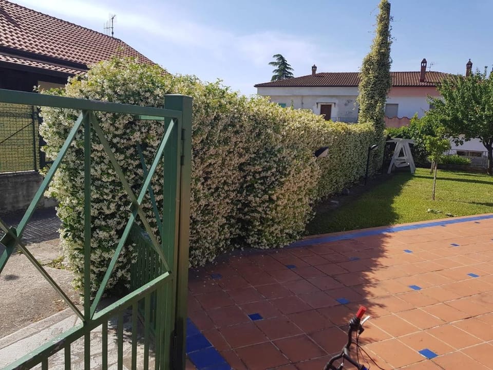 Day, Garden view, Parking