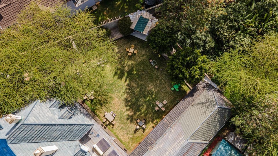 Day, Bird's eye view, Garden