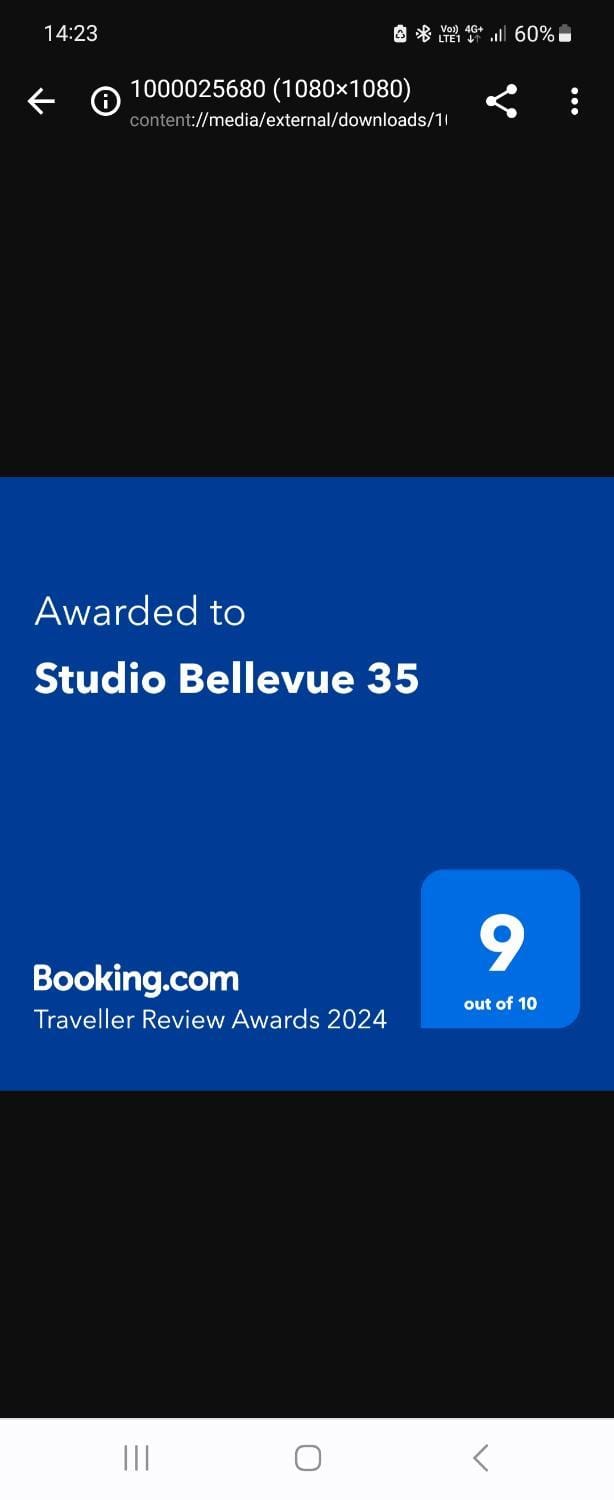 Studio Bellevue 35 avec balcon Apartment in Albi