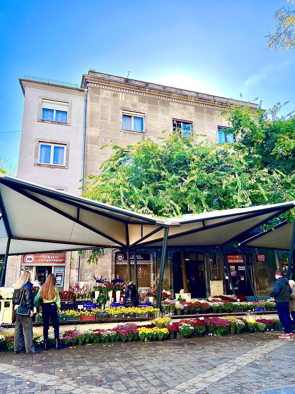 Property building