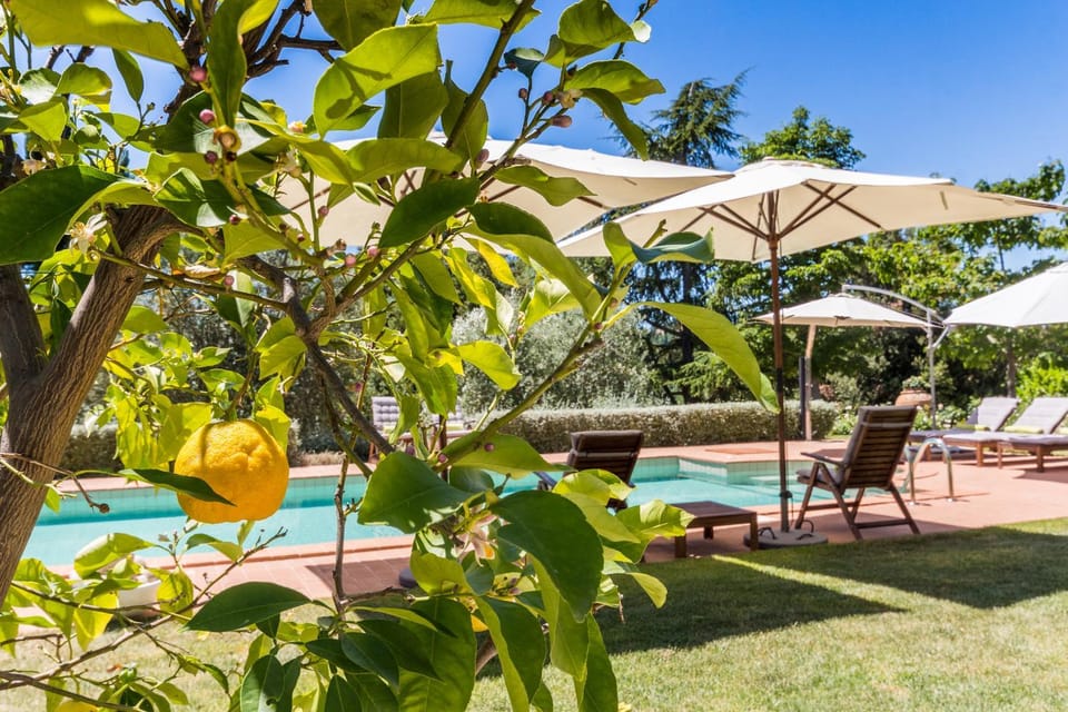 Garden, Garden view, Swimming pool
