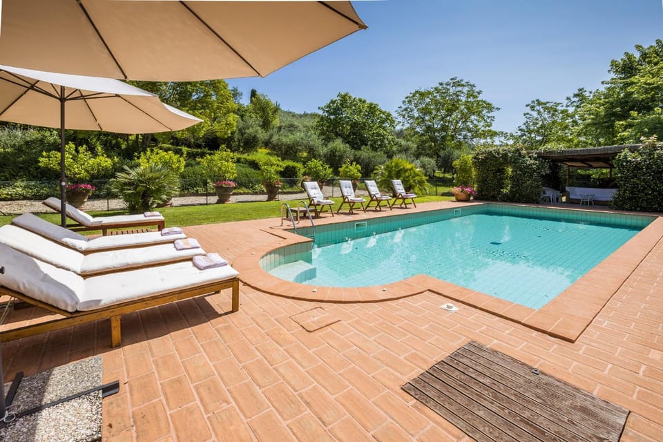 Patio, Garden, Swimming pool