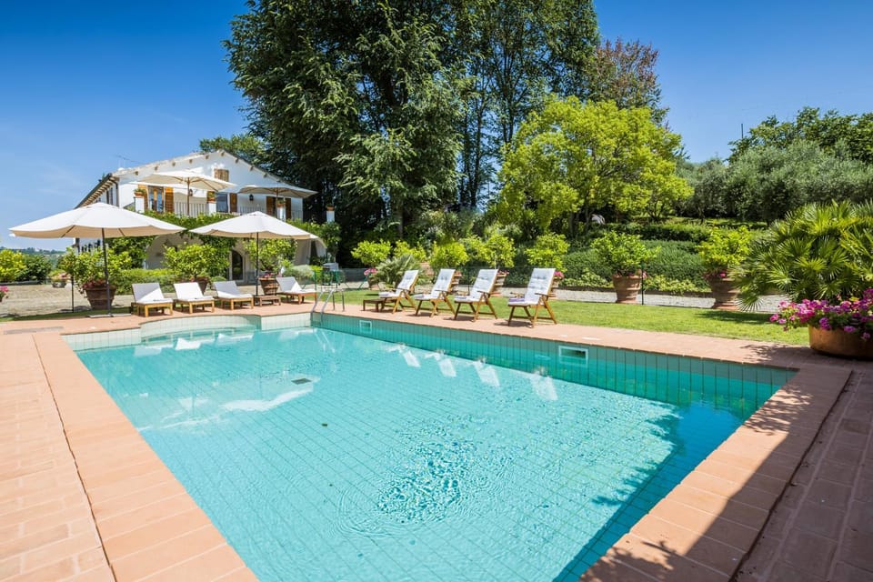 Garden, Swimming pool, Swimming pool