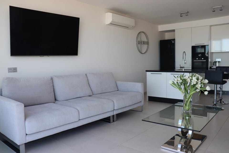TV and multimedia, air conditioner