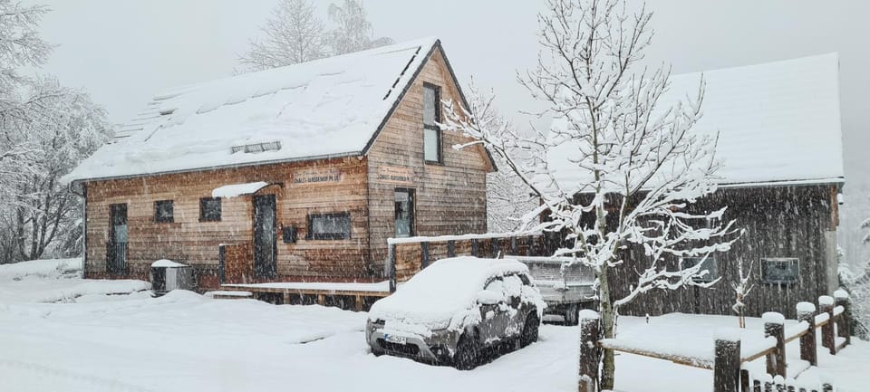 Property building, Day, Winter, Garden