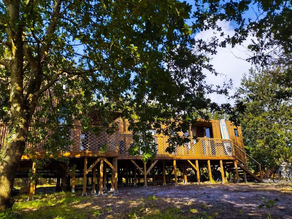 Domaine construction bois sur pilotis dans une chênaie proche océan House in Soulac-sur-Mer