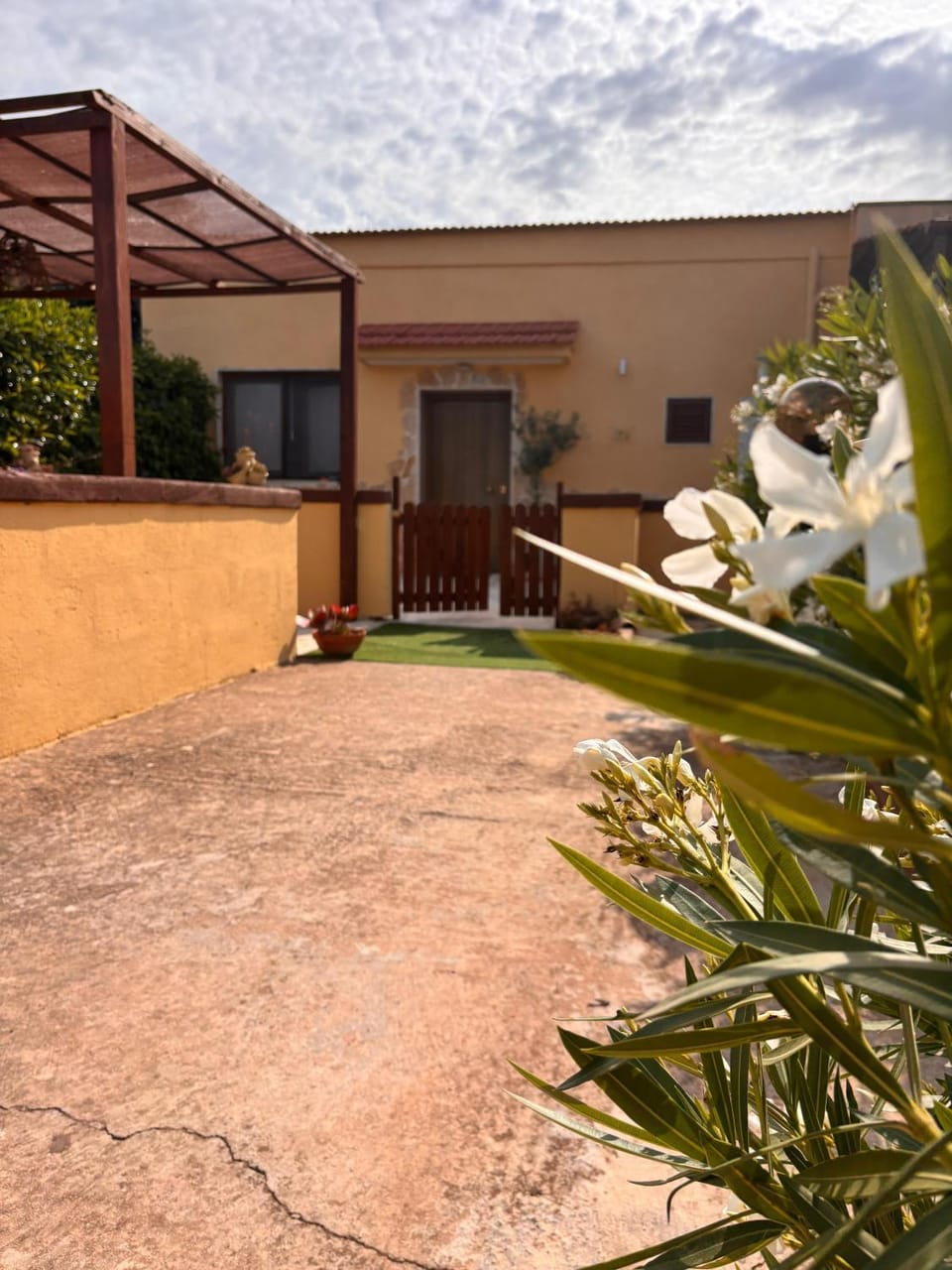 Property building, Garden, Garden view