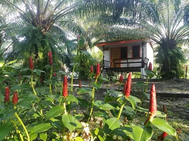 สบายคันทรีรีสอร์ท ปากเมงSa-buy country resort Pak Meng Country House in Krabi Changwat
