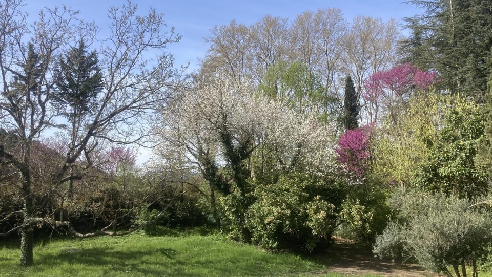 Spring, Garden, Garden view