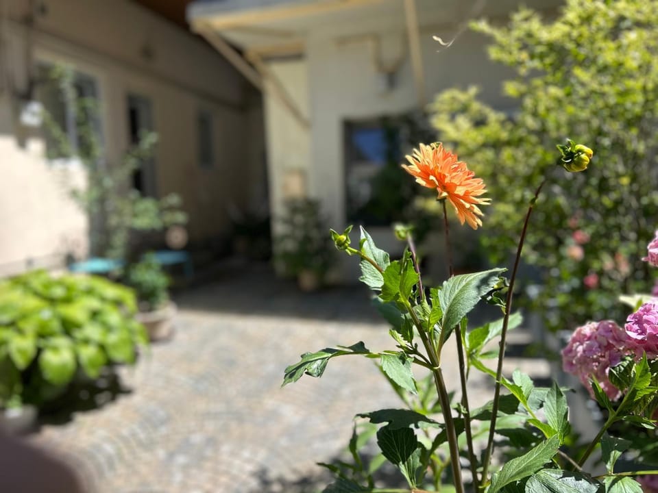FLH - Tribunei Nest Apartment in Sibiu