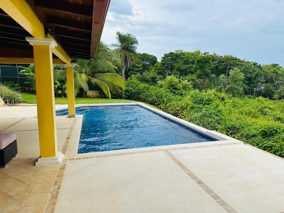 Garden, Swimming pool