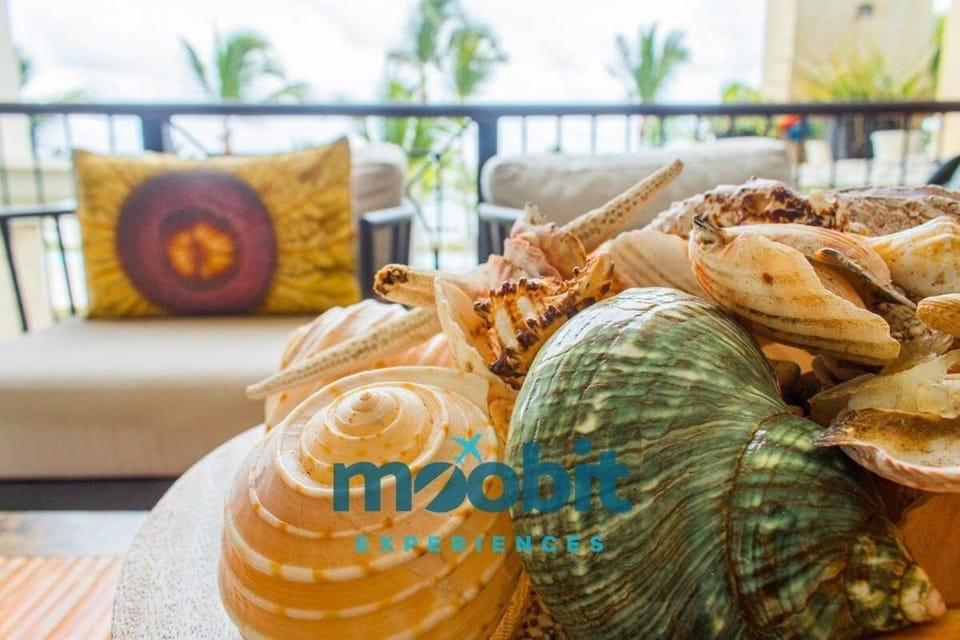 Beautiful Perfect 2BR beachfront in Cap Cana House in Punta Cana