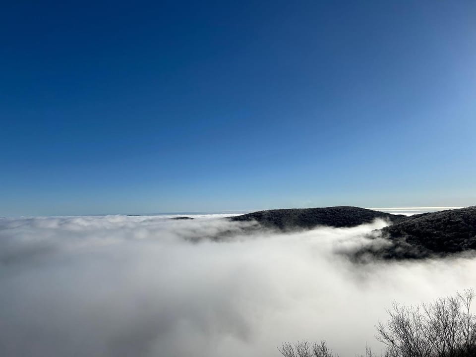 What A View House in Watauga