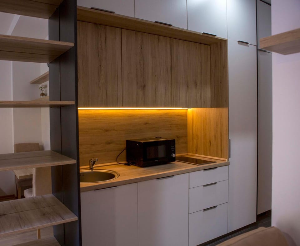 Kitchen or kitchenette, minibar, stove, kitchen
