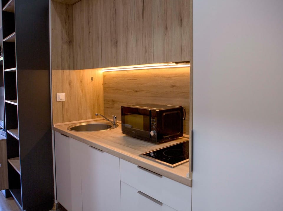 Kitchen or kitchenette, minibar, stove