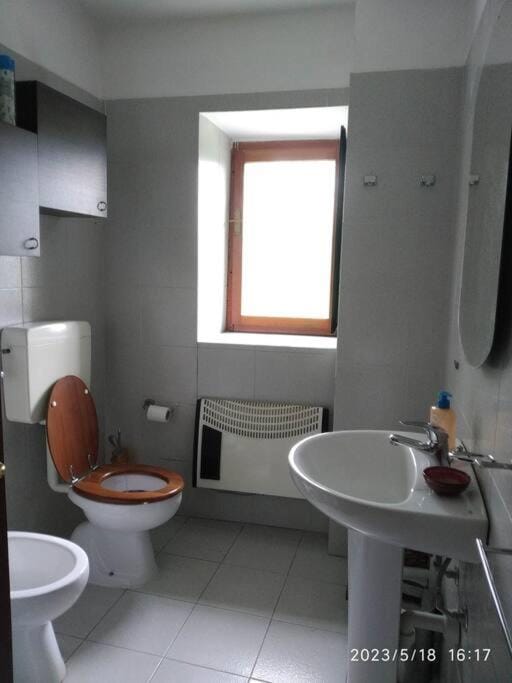 Shower, Toilet, Bathroom, bidet