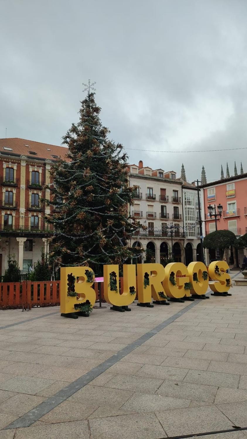 Piso turistico LAURSI Apartment in Burgos