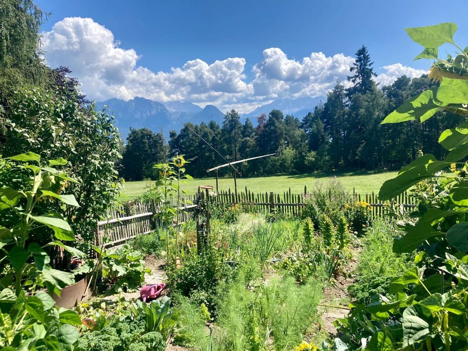 Natural landscape, Garden view