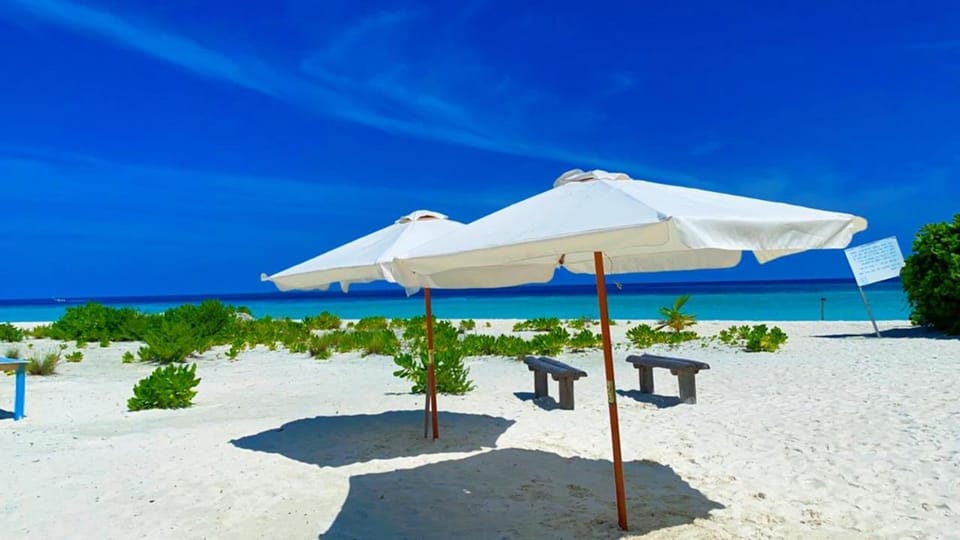 Nearby landmark, Beach