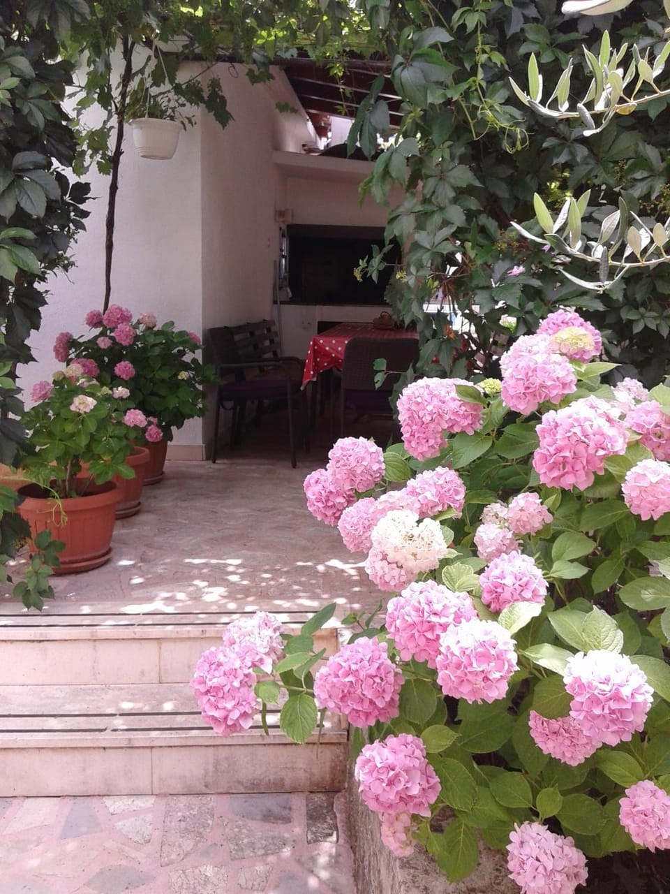 Patio, Spring