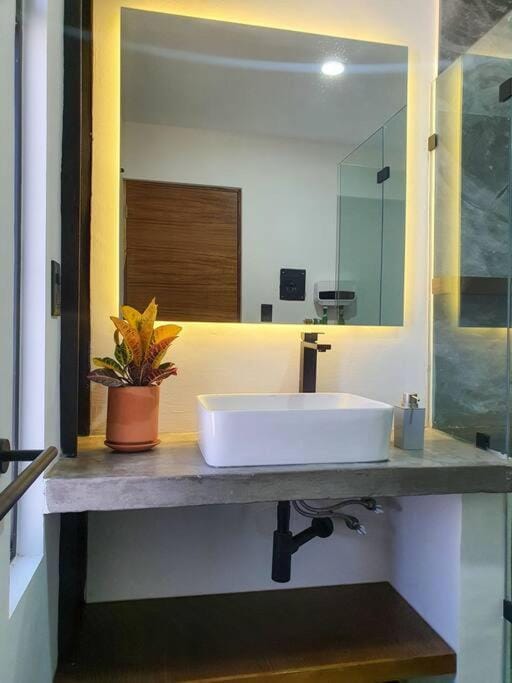 Loft plata en excelente ubicación Apartment in San Luis Potosi
