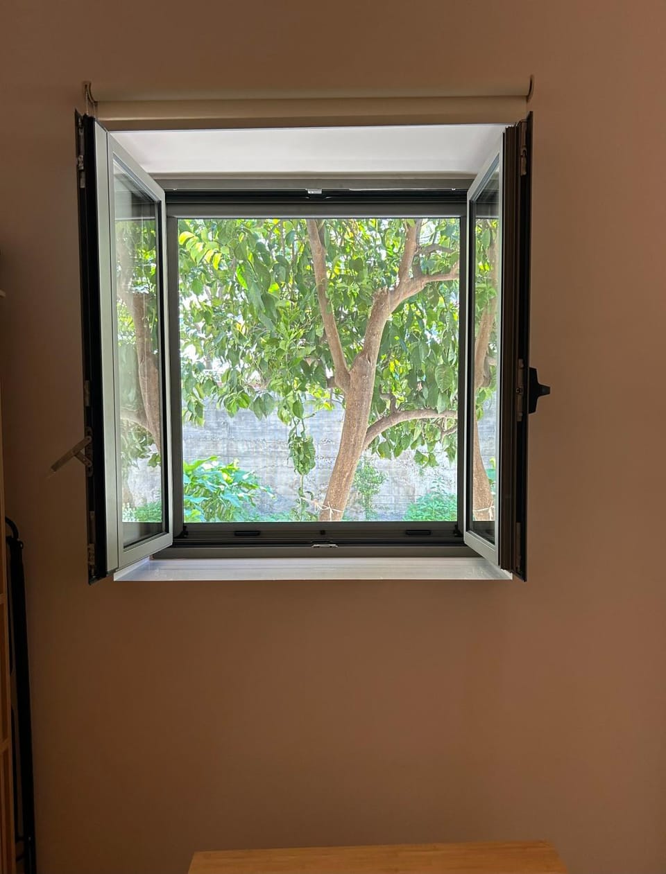 Property building, View (from property/room)
