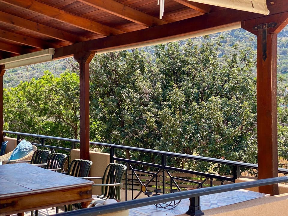 Natural landscape, View (from property/room), Balcony/Terrace, Mountain view